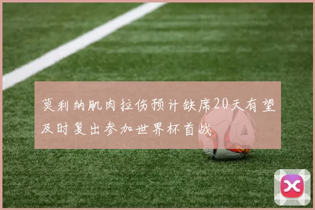 莫利纳肌肉拉伤预计缺席20天有望及时复出参加世界杯首战